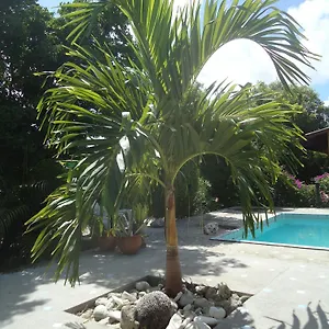 https://happy-turtle-apartments.comcaribbean.com